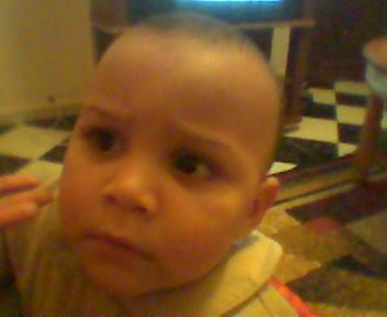 c ilyess
